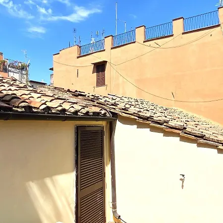Terraces Under The Moon *